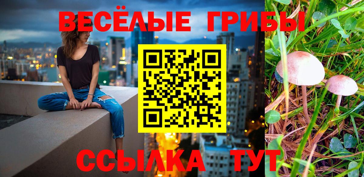 Галлюциногенные грибы GOLDEN TEACHER  Вход с VPN  Аша  Псилоцибиновые грибы GOLDEN TEACHER 